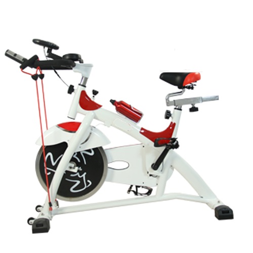 xe đạp tập thể dục spin bike